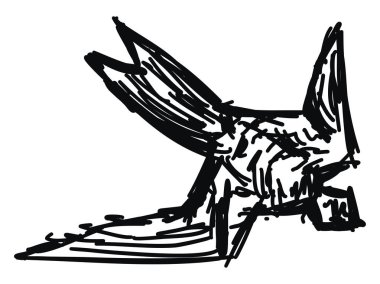 Kuş çizimi, illüstrasyon, beyaz arka plan üzerinde vektör.