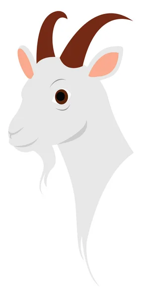 Goat, illustration, vector on white background. — Stock Vector