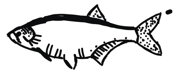 Ryby na moři, ilustrace, vektor na bílém pozadí. — Stockový vektor