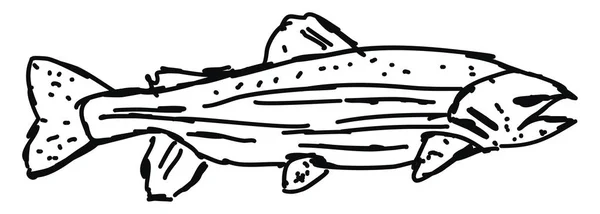 Dessin de poisson, illustration, vecteur sur fond blanc . — Image vectorielle