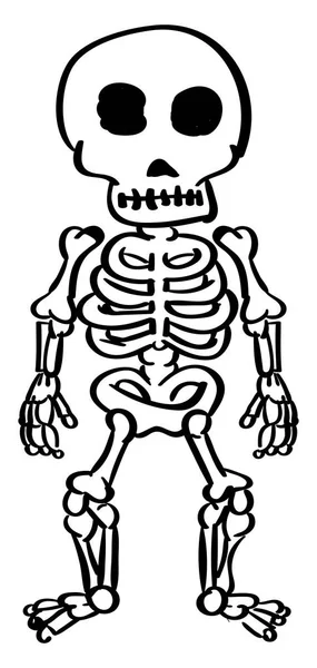 Skelet, illustratie, vector op witte achtergrond. — Stockvector
