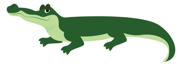 Krokodil, Illustration, Vektor auf weißem Hintergrund. — Stockvektor