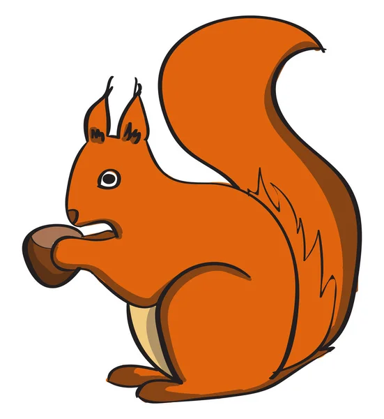 Squirrel, illustration, vector on white background. — Stock Vector