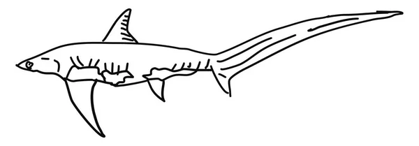 Shark drawing, illustration, vector on white background. — Stock Vector