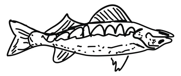 Dessin de poisson, illustration, vecteur sur fond blanc . — Image vectorielle