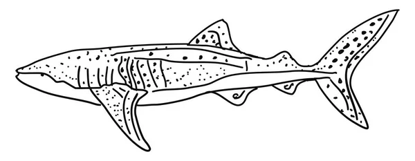Desenho de peixes, ilustração, vetor sobre fundo branco . —  Vetores de Stock