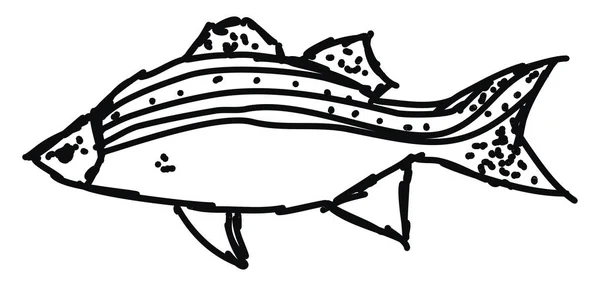 Dessin de poisson, illustration, vecteur sur fond blanc . — Image vectorielle