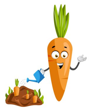 Havuç sulama, illüstrasyon, beyaz arka plan vektör.