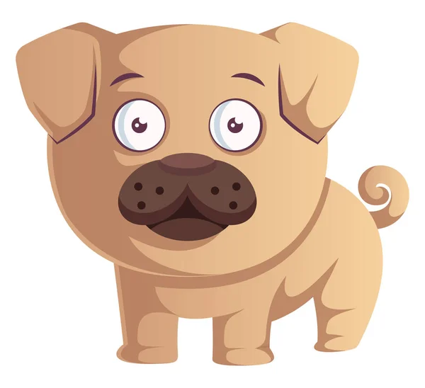 Pug is shocked, illustration, vector on white background. — Stock Vector