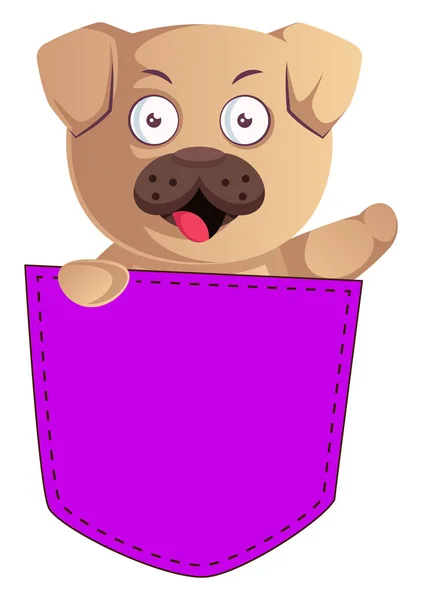 Pug in pocket, illustration, vector on white background. — Stock Vector