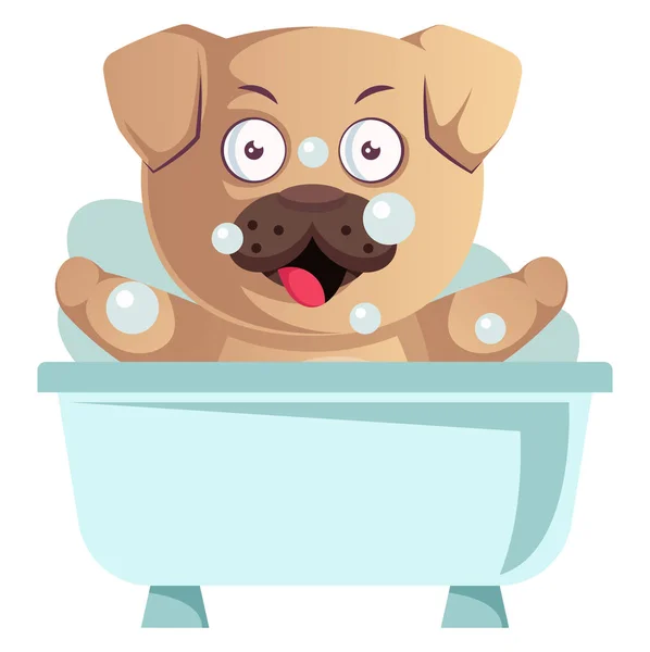 Pug bathing, illustration, vector on white background. — Stock Vector