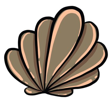 Güzel kabuk, illüstrasyon, beyaz arkaplan üzerindeki vektör