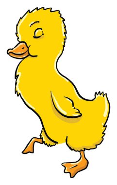 Sarı piliç, illüstrasyon, beyaz arkaplanda vektör