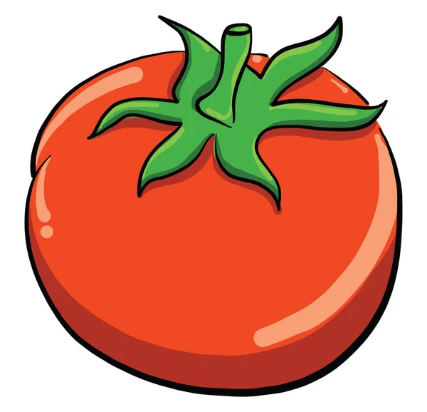 Pomodoro Rosso Illustrazione Vettore Sfondo Bianco — Vettoriale Stock