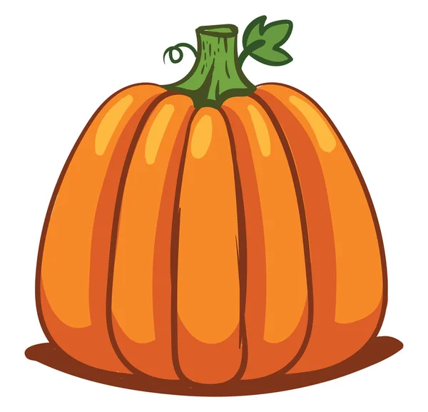 Calabaza Grande Ilustración Vector Sobre Fondo Blanco — Archivo Imágenes Vectoriales