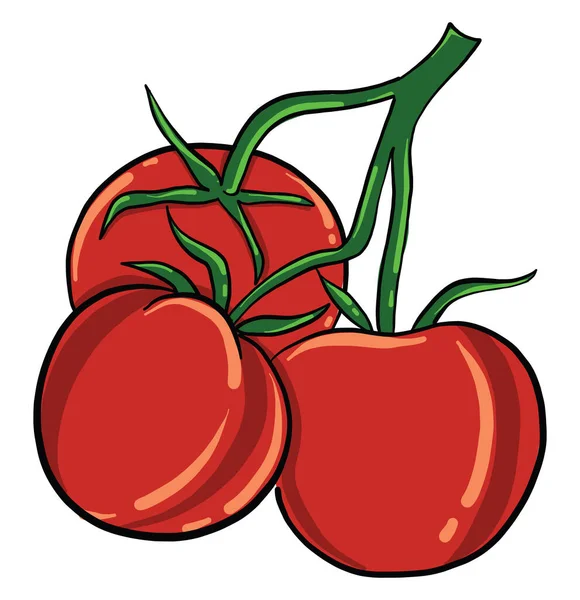 Cherry Tomatoes Illustration Vector White Background — Stock Vector