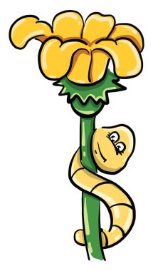 Solucanlı çiçek, illüstrasyon, beyaz arkaplanda vektör