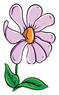 Mor çiçek, illüstrasyon, beyaz arkaplanda vektör