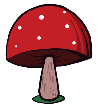 Kırmızı mantar, illüstrasyon, beyaz arkaplanda vektör