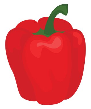 Kırmızı biber, illüstrasyon, beyaz arka plan üzerinde vektör