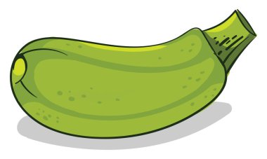 Taze kabak, illüstrasyon, beyaz arka plan vektör