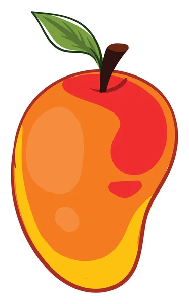 Čerstvé Mango Ilustrace Vektor Bílém Pozadí — Stockový vektor
