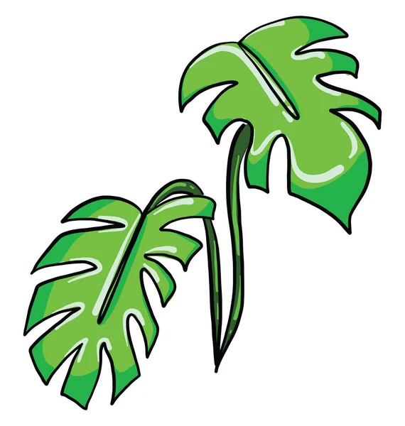 Palmový List Ilustrace Vektor Bílém Pozadí — Stockový vektor