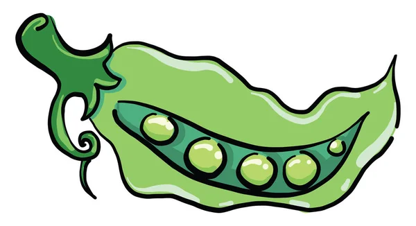 緑のエンドウ豆 イラスト 白い背景のベクトル — ストックベクタ