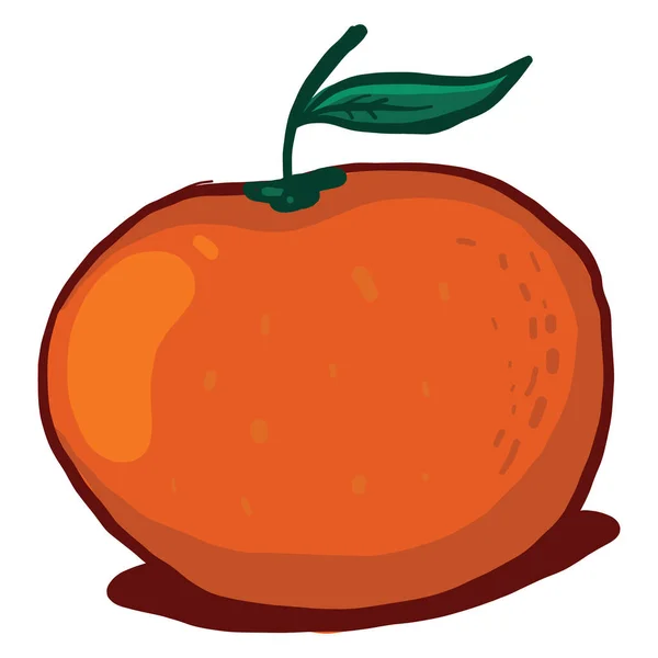 Orange Mandarin Illustration Vektor Vit Bakgrund — Stock vektor
