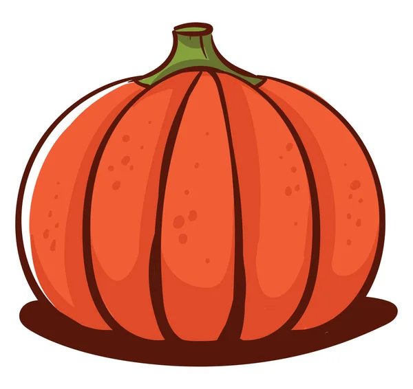 Hermosa Calabaza Ilustración Vector Sobre Fondo Blanco — Vector de stock