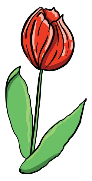 Red Flower Illustration Vector White Background — Stock Vector
