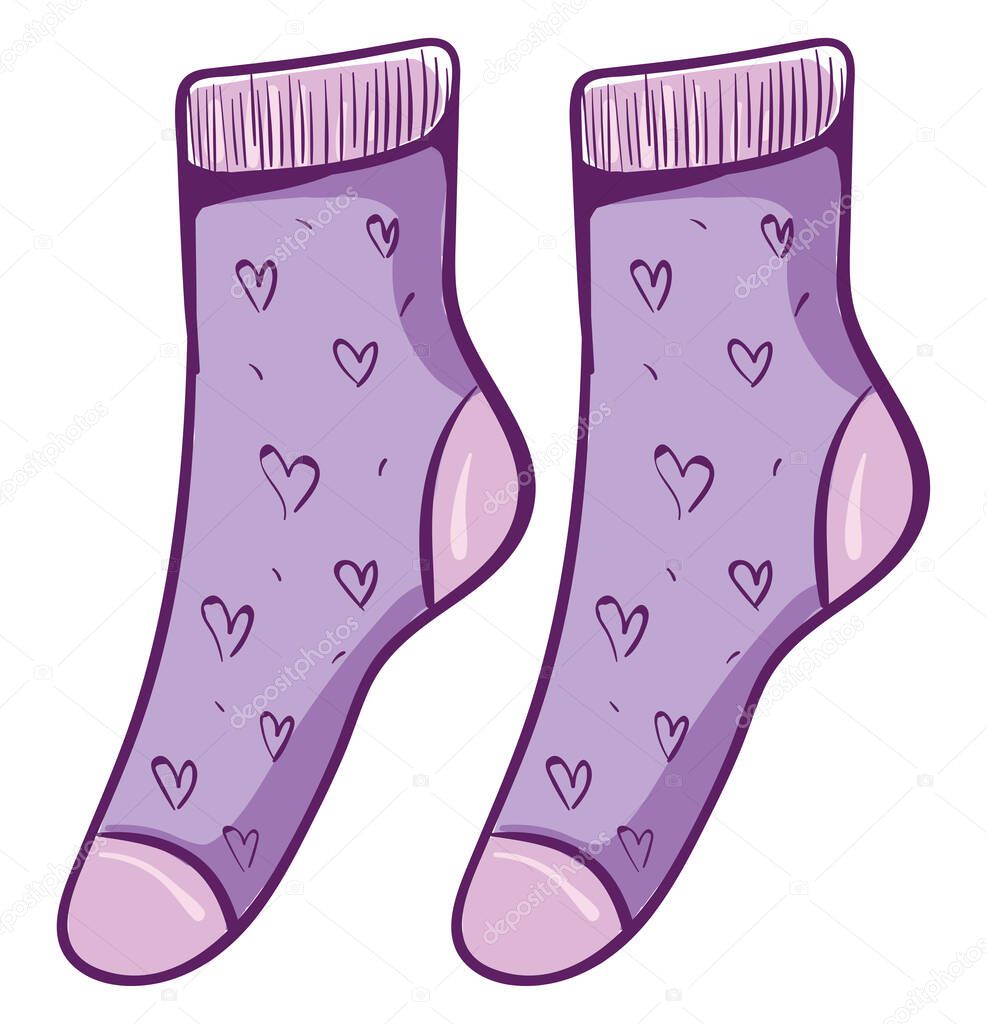 Purple socks, illustration, vector on white background