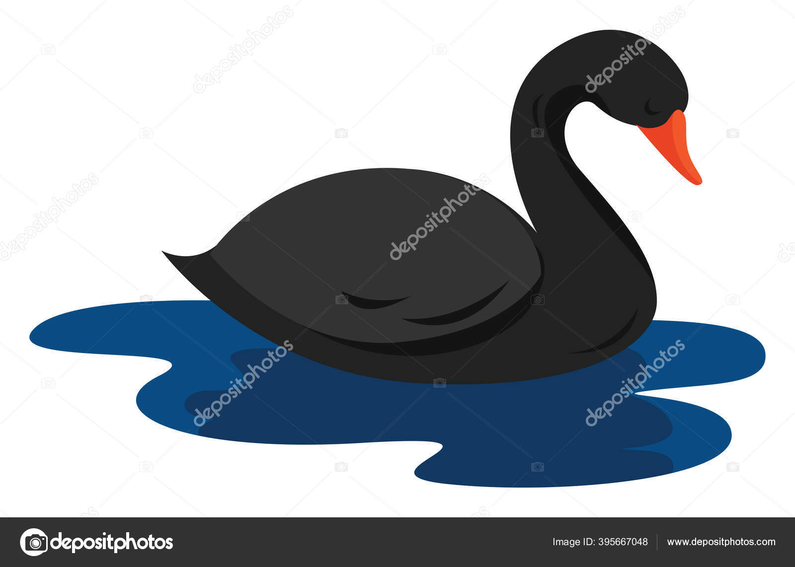 Angsa Hitam Ilustrasi Vektor Pada Latar Belakang Putih Stok Vektor C Morphart 395667048