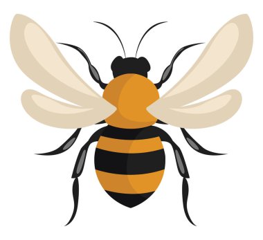 Büyük arı, illüstrasyon, beyaz arkaplanda vektör