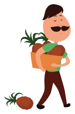 Ananaslı, resimli, beyaz arkaplanda vektör