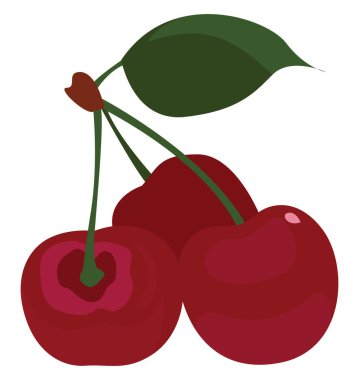 Ağaçtaki kirazlar, illüstrasyon, beyaz arkaplanda vektör