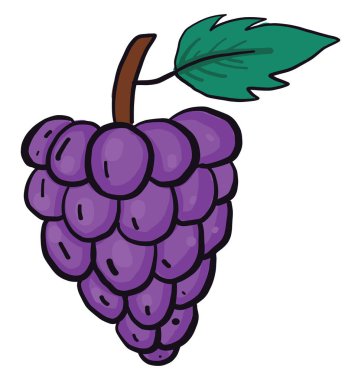 Yağ üzümleri, illüstrasyon, beyaz arkaplan vektörü