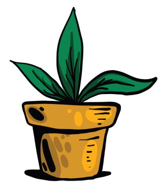 Tencerede yağ bitkisi, illüstrasyon, beyaz arkaplanda vektör