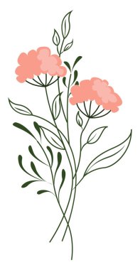 Pembe çiçek, illüstrasyon, beyaz arkaplanda vektör