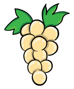 Beyaz üzüm, illüstrasyon, beyaz arkaplanda vektör