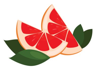 Greyfurt, illüstrasyon, beyaz arkaplan üzerindeki vektör