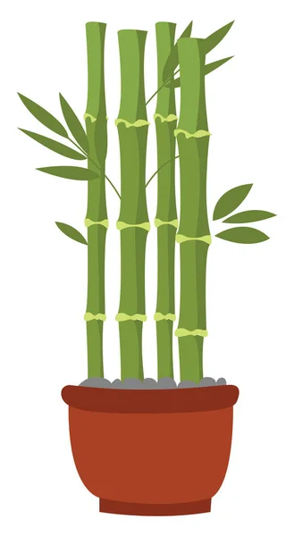 Plante Bambou Illustration Vecteur Sur Fond Blanc — Image vectorielle