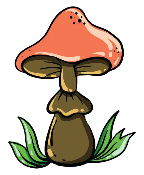 Champignon Sauvage Illustration Vecteur Sur Fond Blanc — Image vectorielle