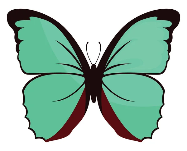 Mariposa Verde Ilustración Vector Sobre Fondo Blanco — Archivo Imágenes Vectoriales