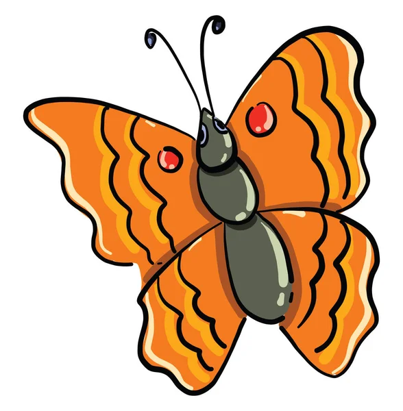 Помаранчева Метелик Ілюстрація Вектор Білому Тлі — стоковий вектор