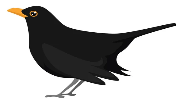 Pájaro Negro Con Pico Naranja Ilustración Vector Sobre Fondo Blanco — Archivo Imágenes Vectoriales