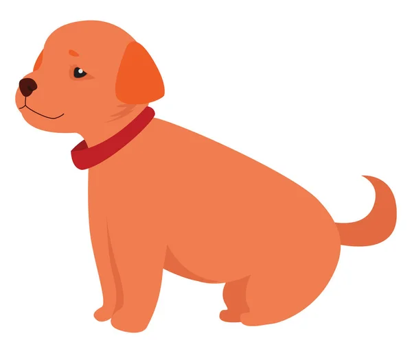 Hund Med Krage Illustration Vektor Vit Bakgrund — Stock vektor