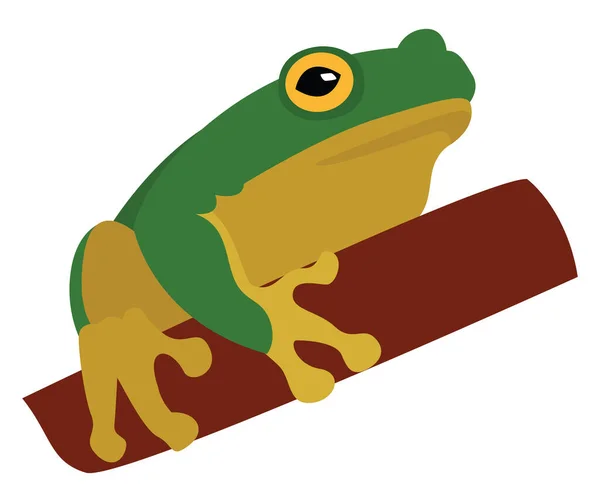 Πράσινο Βάτραχος Εικονογράφηση Διάνυσμα Λευκό Φόντο — Διανυσματικό Αρχείο