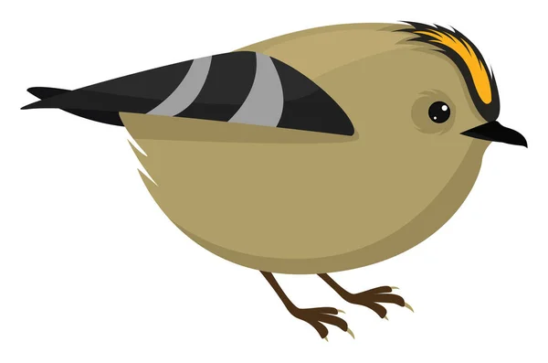 Goldhaubenvogel Illustration Vektor Auf Weißem Hintergrund — Stockvektor