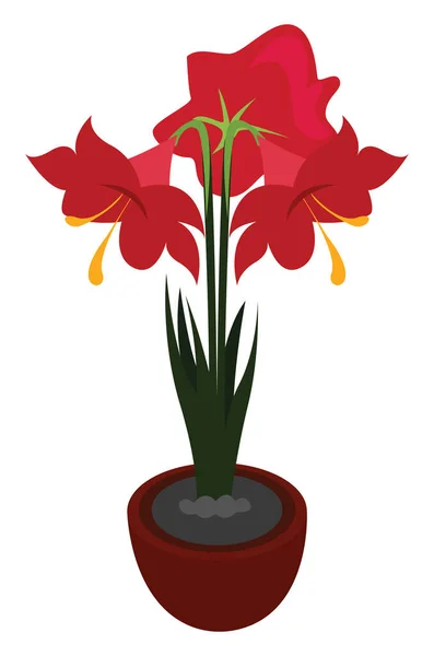 Hippeastrum Fiore Illustrazione Vettore Sfondo Bianco — Vettoriale Stock